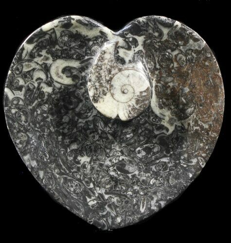 Heart Shaped Fossil Goniatite Dish #39355